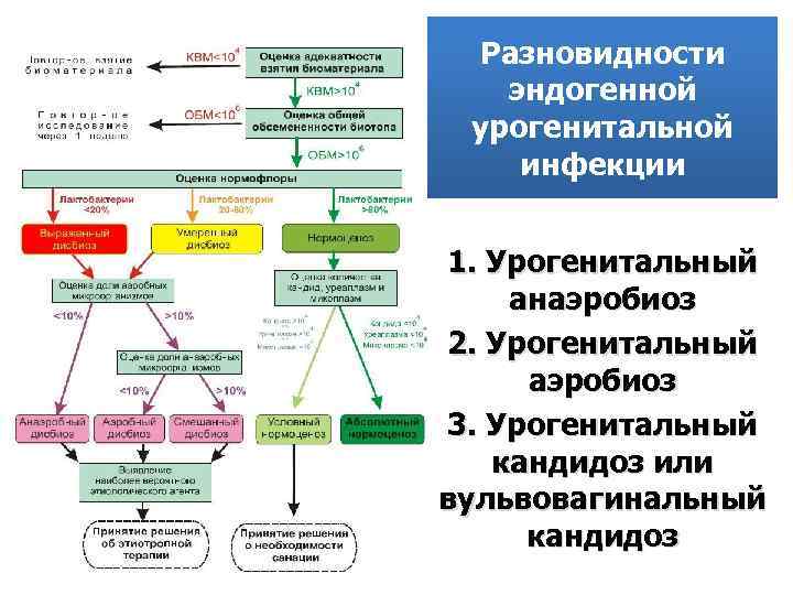 Разновидности эндогенной урогенитальной инфекции 1. Урогенитальный анаэробиоз 2. Урогенитальный аэробиоз 3. Урогенитальный кандидоз или