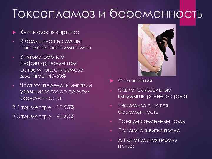 Токсопламоз и беременность Клиническая картина: • В большинстве случаев протекает бессимптомно • Внутриутробное инфицирование