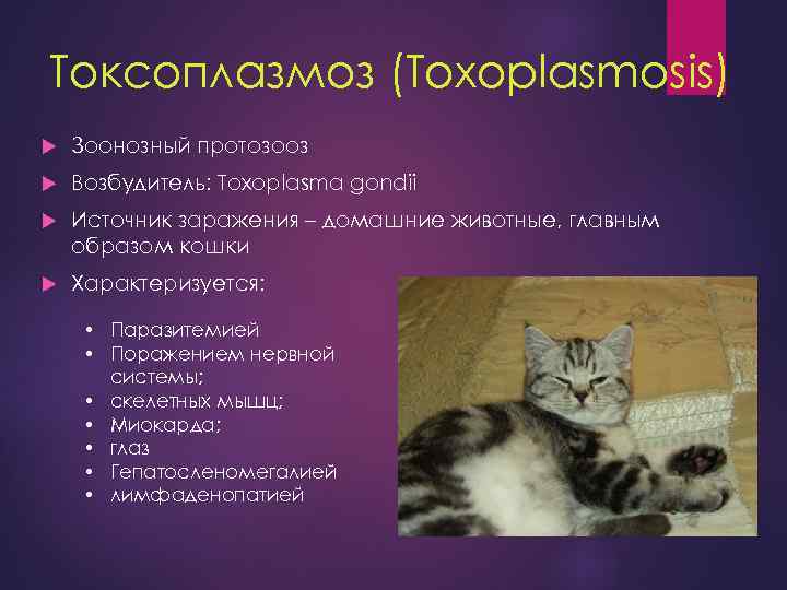 Токсоплазмоз (Toxoplasmosis) Зоонозный протозооз Возбудитель: Toxoplasma gondii Источник заражения – домашние животные, главным образом