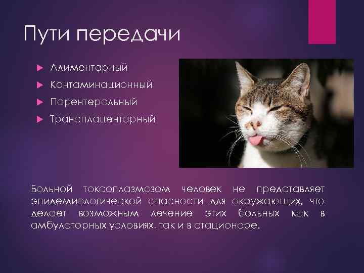 Пути передачи Алиментарный Контаминационный Парентеральный Трансплацентарный Больной токсоплазмозом человек не представляет эпидемиологической опасности для
