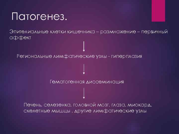 Патогенез. Эпителиальные клетки кишечника – размножение – первичный аффект Региональные лимфатические узлы - гиперплазия