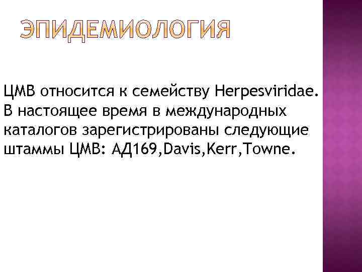 ЦМВ относится к семейству Herpesviridae. В настоящее время в международных каталогов зарегистрированы следующие штаммы