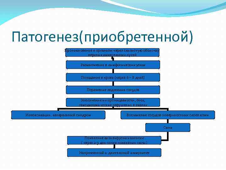 Патогенез(приобретенной) Проникновение в организм через слизистую оболочку верхних дыхательных путей Размножение в лимфотических узлах