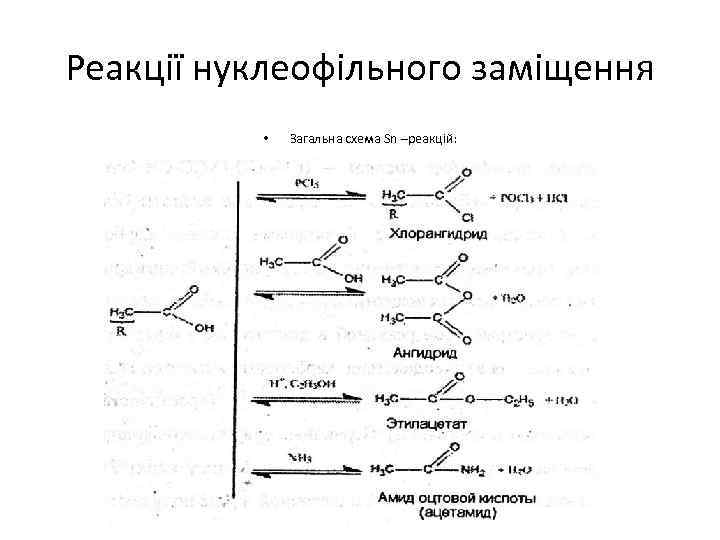Реакції нуклеофільного заміщення • Загальна схема Sn –реакцій: 