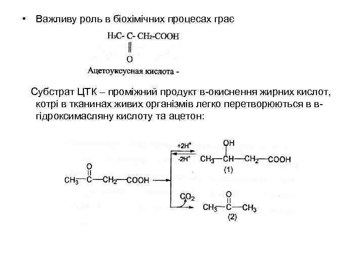  • Важливу роль в біохімічних процесах грає Субстрат ЦТК – проміжний продукт в-окиснення