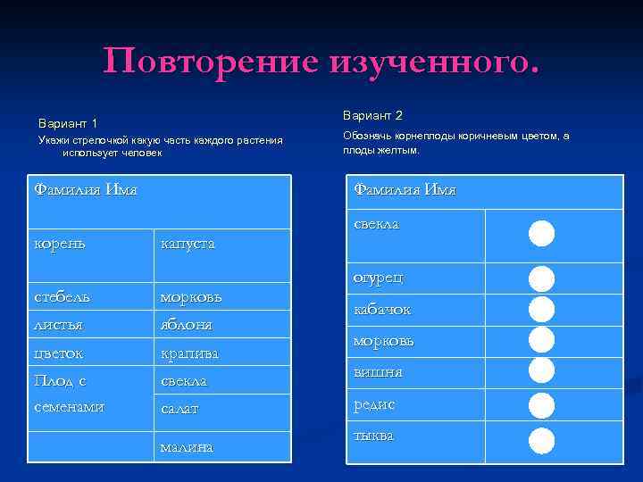 Повторение изученного. Вариант 2 Вариант 1 Укажи стрелочкой какую часть каждого растения использует человек