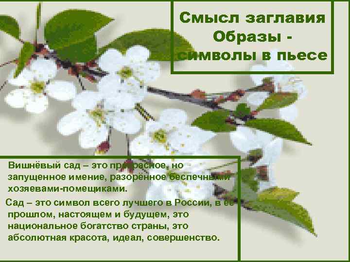 План конспект вишневый сад