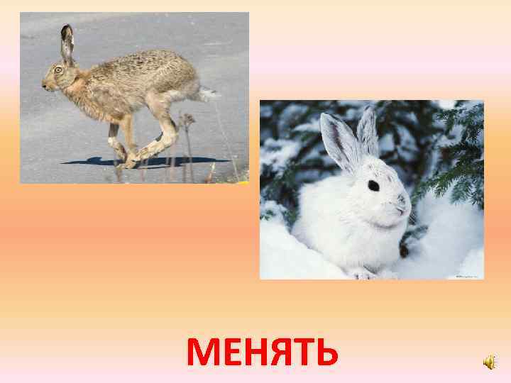 МЕНЯТЬ 