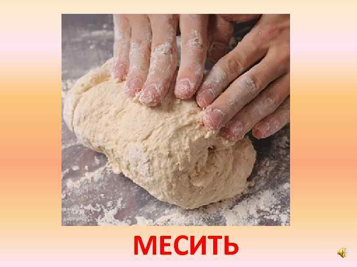 МЕСИТЬ 