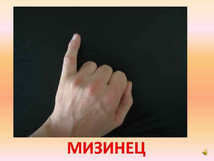 МИЗИНЕЦ 