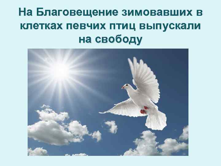 На Благовещение зимовавших в клетках певчих птиц выпускали на свободу 