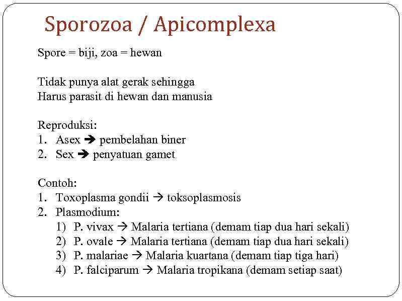 Sporozoa / Apicomplexa Spore = biji, zoa = hewan Tidak punya alat gerak sehingga