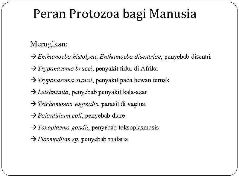Peran Protozoa bagi Manusia Merugikan: Enthamoeba histolyca, Enthamoeba disentriae, penyebab disentri Trypanasoma brucei, penyakit