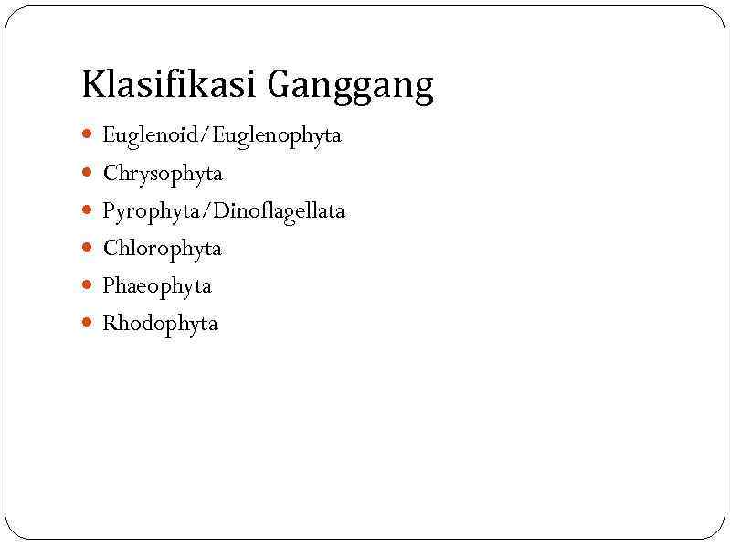Klasifikasi Ganggang Euglenoid/Euglenophyta Chrysophyta Pyrophyta/Dinoflagellata Chlorophyta Phaeophyta Rhodophyta 