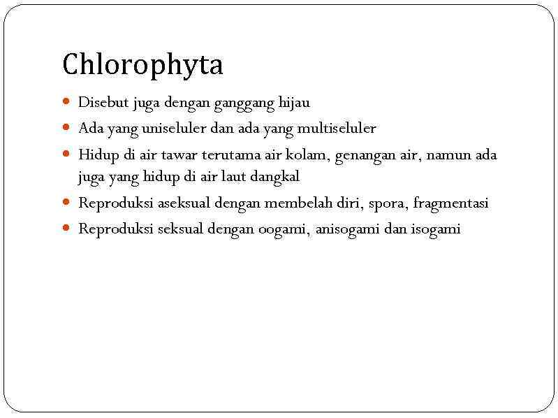 Chlorophyta Disebut juga dengan gang hijau Ada yang uniseluler dan ada yang multiseluler Hidup