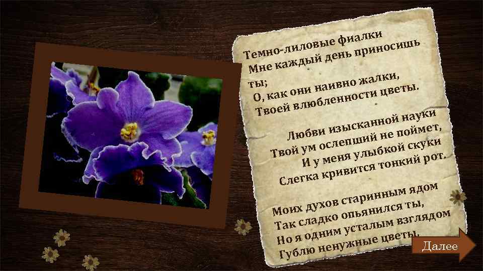 и фиалк сишь е иловы ь прино -л Темно дый ден ж Мне ка