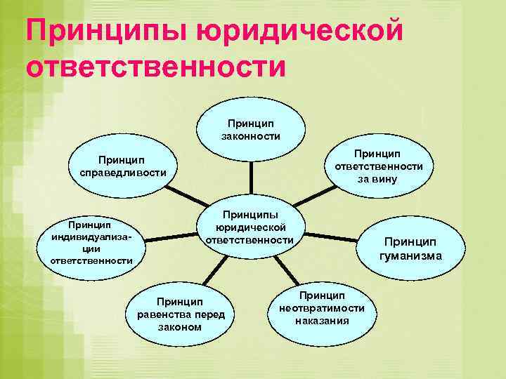 Принципы гуманизма законности и справедливости