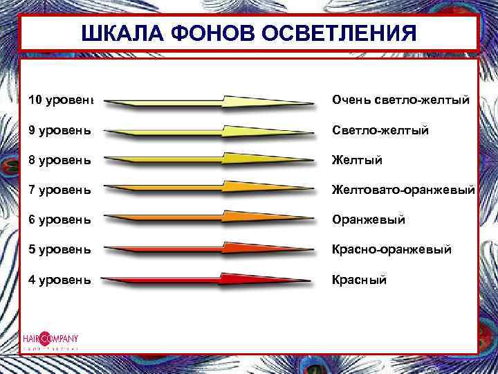ШКАЛА ФОНОВ ОСВЕТЛЕНИЯ 10 уровень Очень светло-желтый 9 уровень 10 уровень Светло-желтый Очень светло-желтый