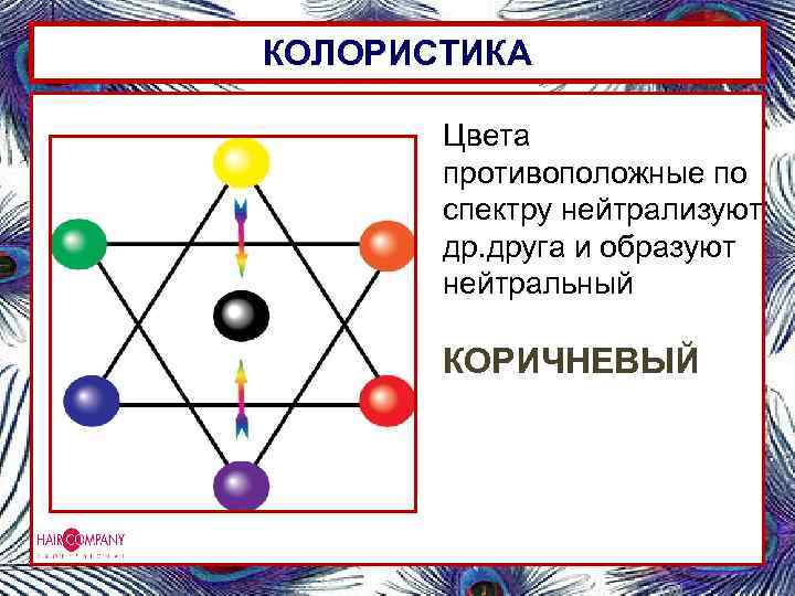 КОЛОРИСТИКА Цвета противоположные по спектру нейтрализуют др. друга и образуют нейтральный КОРИЧНЕВЫЙ 