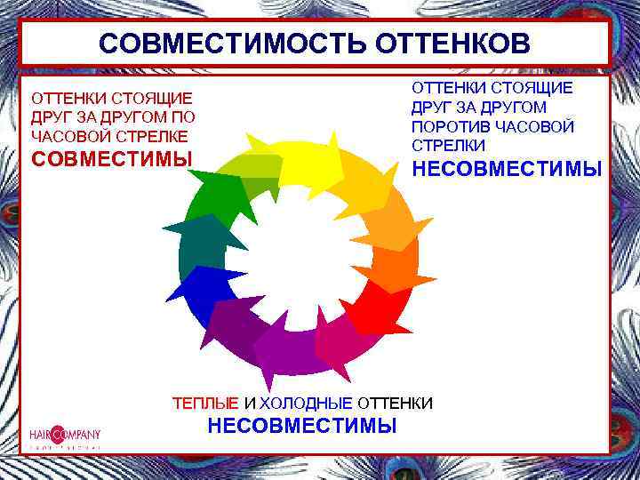 СОВМЕСТИМОСТЬ ОТТЕНКОВ ОТТЕНКИ СТОЯЩИЕ ДРУГ ЗА ДРУГОМ ПОРОТИВ ЧАСОВОЙ СТРЕЛКИ ОТТЕНКИ СТОЯЩИЕ ДРУГ ЗА