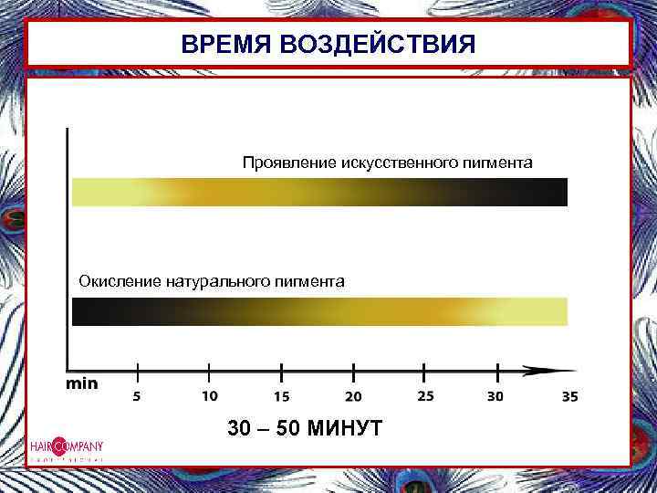 ВРЕМЯ ВОЗДЕЙСТВИЯ Проявление искусcтвенного пигмента Окисление натурального пигмента 30 – 50 МИНУТ 