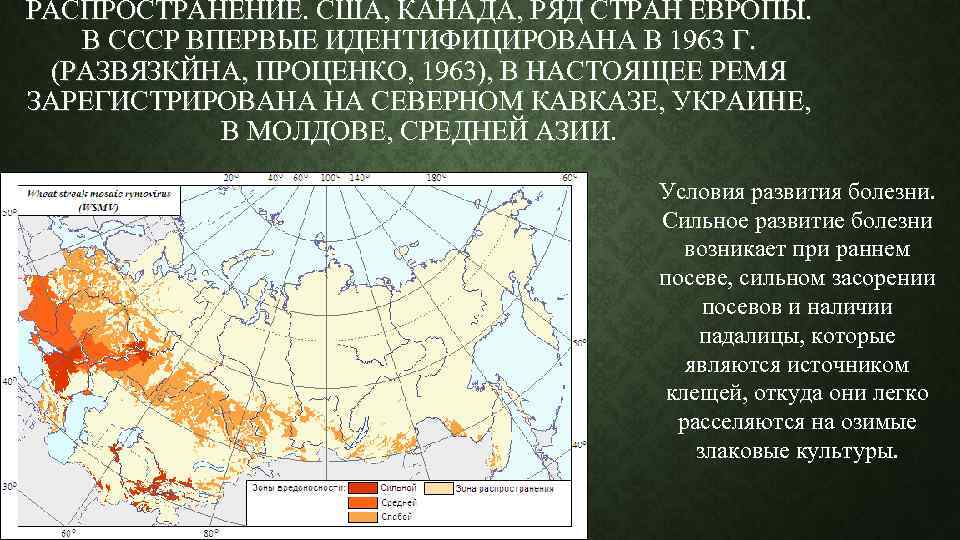 РАСПРОСТРАНЕНИЕ. США, КАНАДА, РЯД СТРАН ЕВРОПЫ. В СССР ВПЕРВЫЕ ИДЕНТИФИЦИРОВАНА В 1963 Г. (РАЗВЯЗКЙНА,