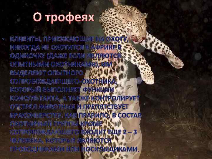 О трофеях • КЛИЕНТЫ, ПРИЕЗЖАЮЩИЕ НА ОХОТУ, НИКОГДА НЕ ОХОТИТСЯ В АФРИКЕ В ОДИНОЧКУ