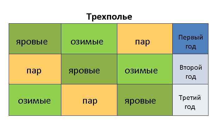 Трехполье яровые озимые пар Первый год пар яровые озимые Второй год пар яровые Третий