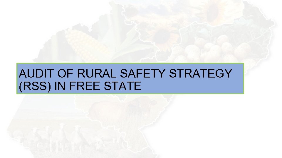 AUDIT OF RURAL SAFETY STRATEGY (RSS) IN FREE STATE 