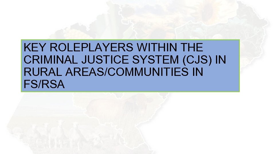 KEY ROLEPLAYERS WITHIN THE CRIMINAL JUSTICE SYSTEM (CJS) IN RURAL AREAS/COMMUNITIES IN FS/RSA 