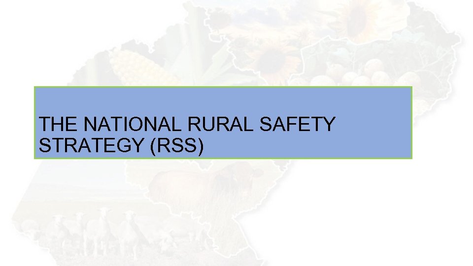 THE NATIONAL RURAL SAFETY STRATEGY (RSS) 