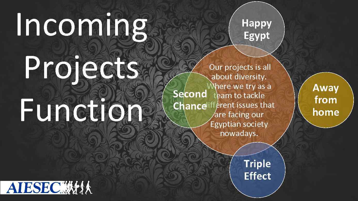 Incoming Projects Function Happy Egypt Our projects is all about diversity. Where we try