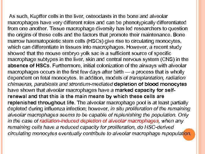 . As such, Kupffer cells in the liver, osteoclasts in the bone and alveolar