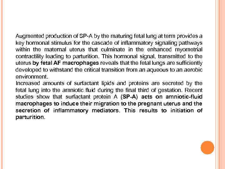 Augmented production of SP-A by the maturing fetal lung at term provides a key