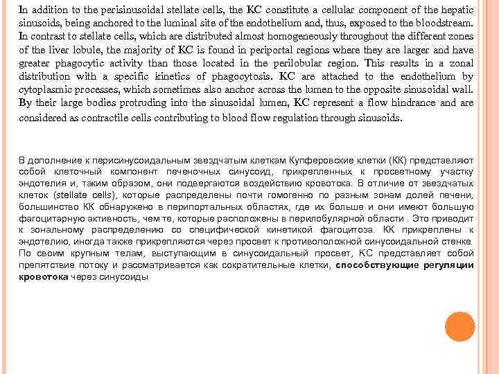 In addition to the perisinusoidal stellate cells, the KC constitute a cellular component of