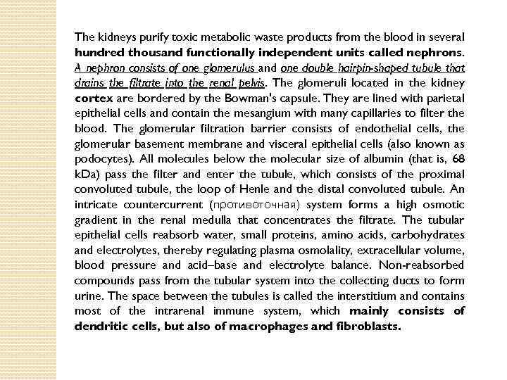 The kidneys purify toxic metabolic waste products from the blood in several hundred thousand