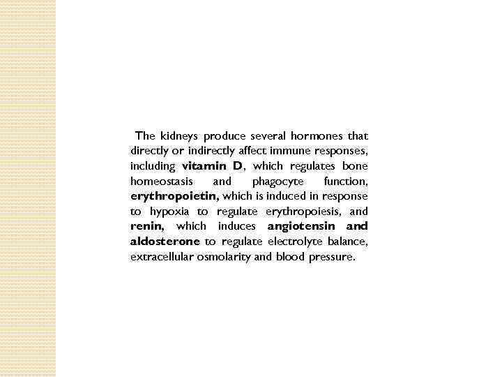 The kidneys produce several hormones that directly or indirectly affect immune responses, including vitamin