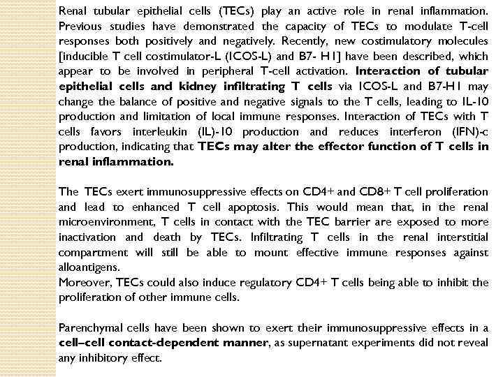 Renal tubular epithelial cells (TECs) play an active role in renal inflammation. Previous studies