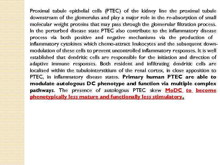 Proximal tubule epithelial cells (PTEC) of the kidney line the proximal tubule downstream of