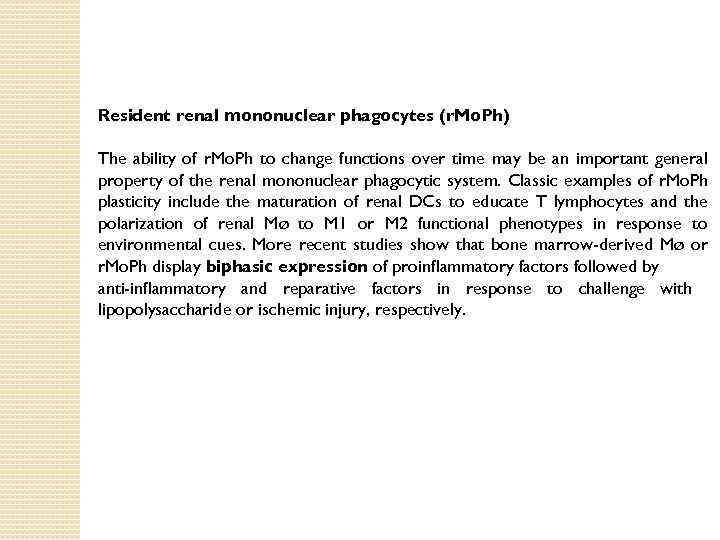 Resident renal mononuclear phagocytes (r. Mo. Ph) The ability of r. Mo. Ph to