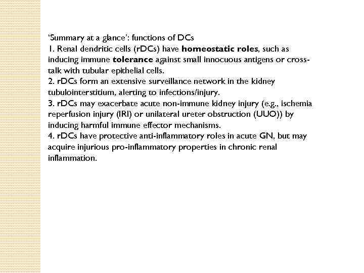 ‘Summary at a glance’: functions of DCs 1. Renal dendritic cells (r. DCs) have