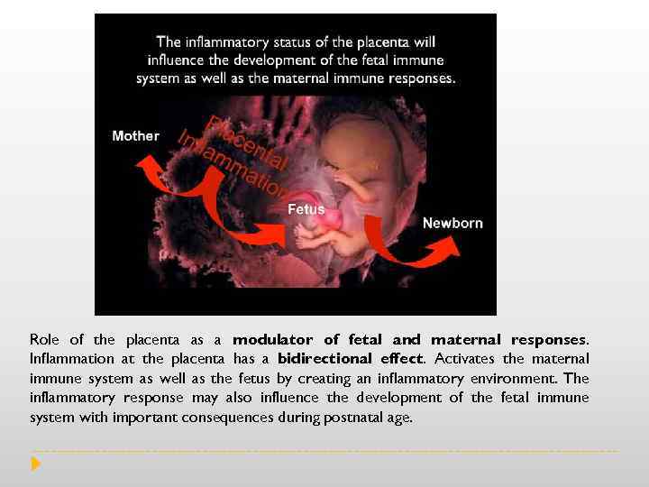 Role of the placenta as a modulator of fetal and maternal responses. Inflammation at