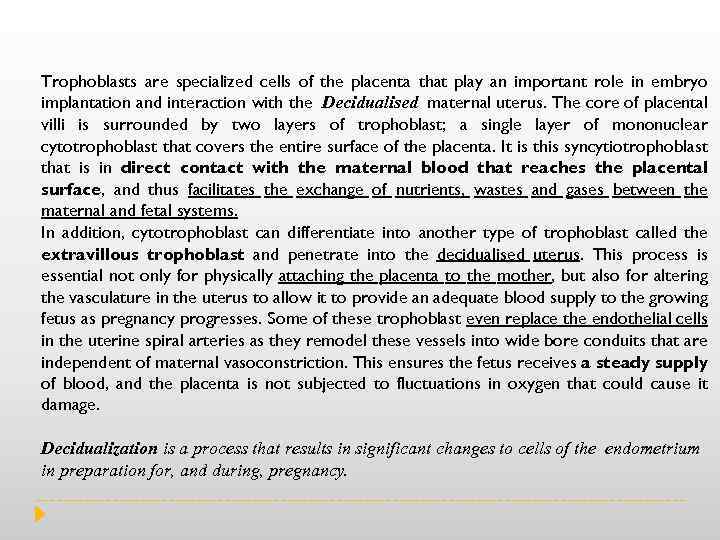 Trophoblasts are specialized cells of the placenta that play an important role in embryo