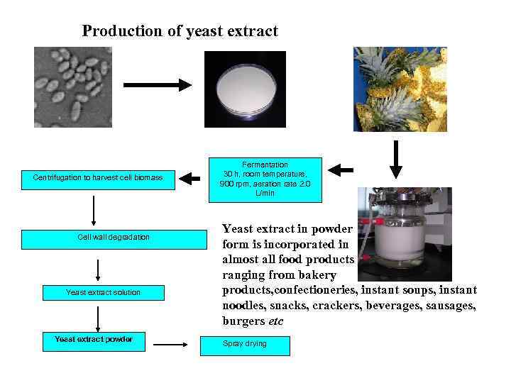 Production of yeast extract Centrifugation to harvest cell biomass Cell wall degradation Yeast extract