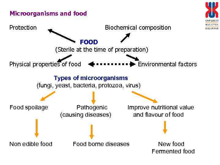 Microorganisms and food Protection Biochemical composition FOOD (Sterile at the time of preparation) Physical