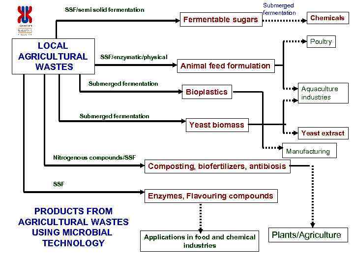 SSF/semi solid fermentation Fermentable sugars LOCAL AGRICULTURAL WASTES Submerged fermentation Chemicals Poultry SSF/enzymatic/physical Animal