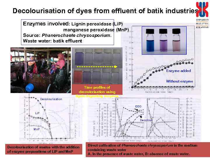 Decolourisation of dyes from effluent of batik industries Enzymes involved: Lignin peroxidase (Li. P)