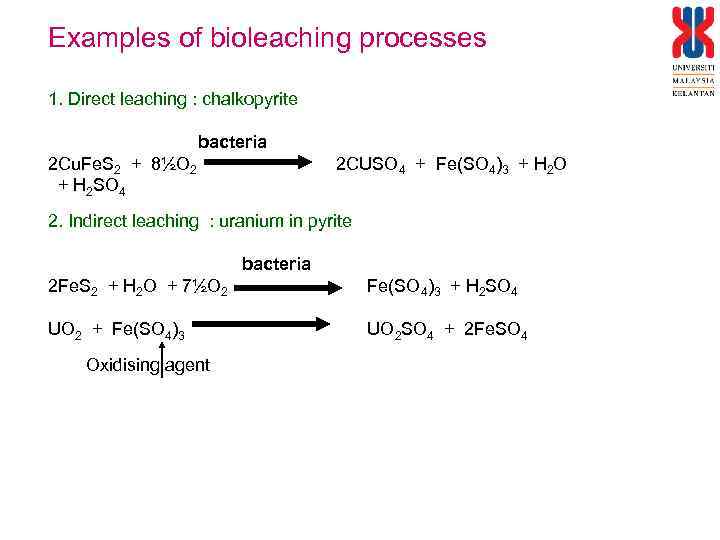 Examples of bioleaching processes 1. Direct leaching : chalkopyrite bacteria 2 Cu. Fe. S