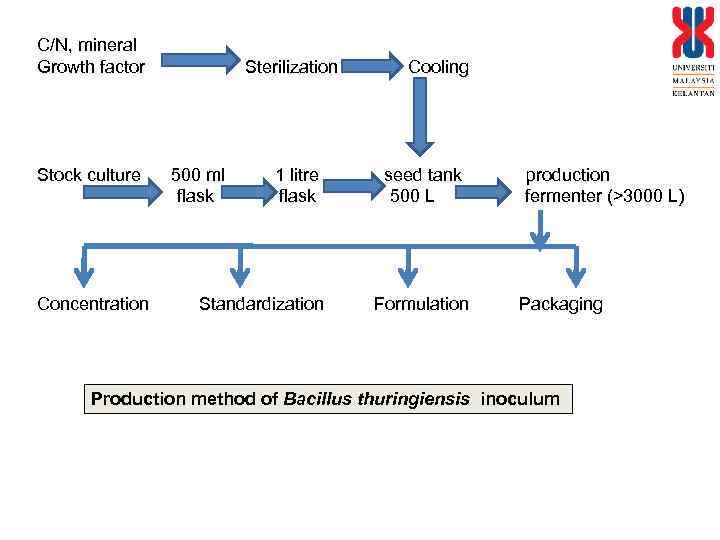 C/N, mineral Growth factor Stock culture Concentration Sterilization 500 ml flask 1 litre flask