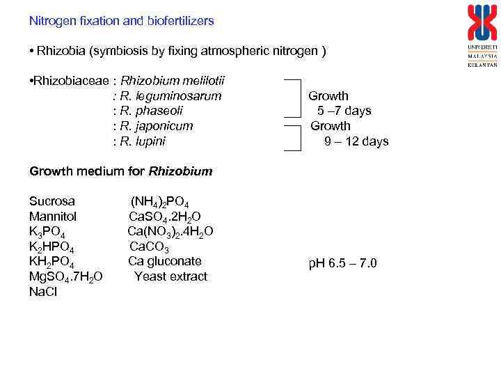 Nitrogen fixation and biofertilizers • Rhizobia (symbiosis by fixing atmospheric nitrogen ) • Rhizobiaceae